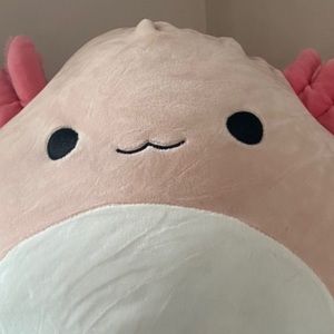 Meet your Posher, Chepi